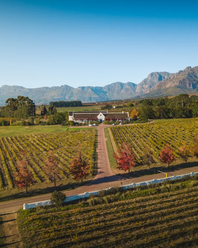 Avondale Wine &mdash; verified Wine producer