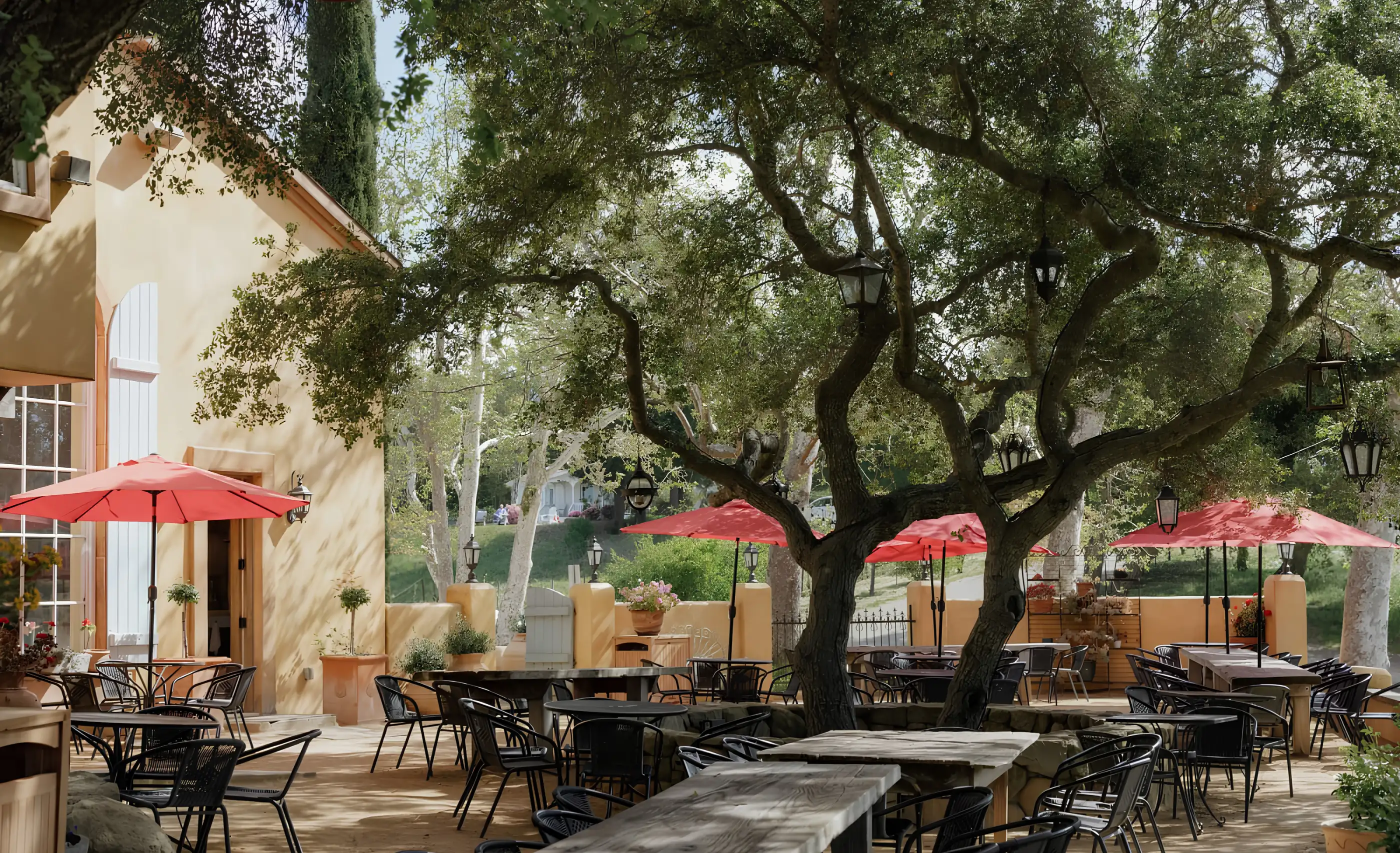 Outdoor terrace under a spreading oak, with red umbrellas, wooden and metal tables and hanging lanterns beside an ochre building