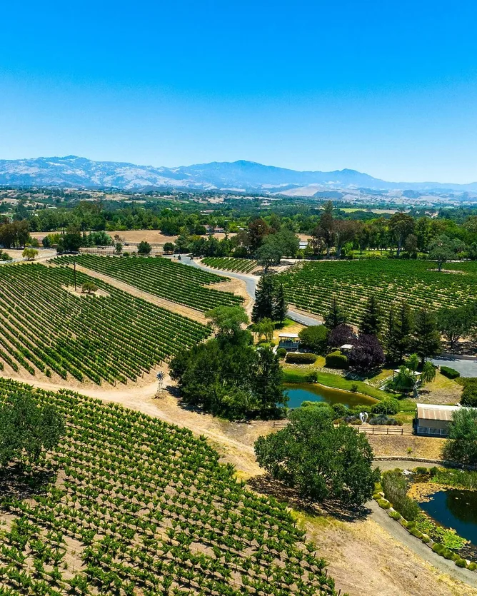 Beckmen Vineyards &mdash; verified Wine producer