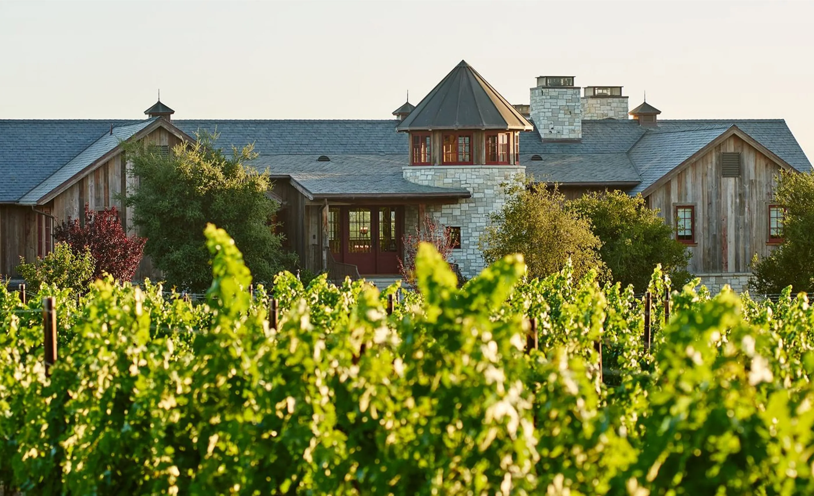 Timber and stone building with a slate-grey roof and a pointed tower behind rows of sunlit green vines