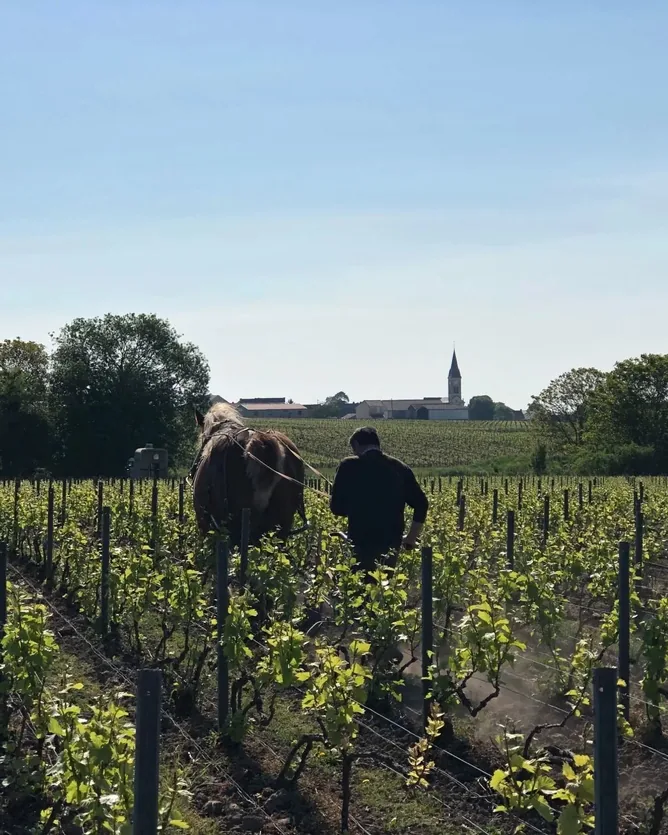 Benoît Lahaye &mdash; verified Champagne producer