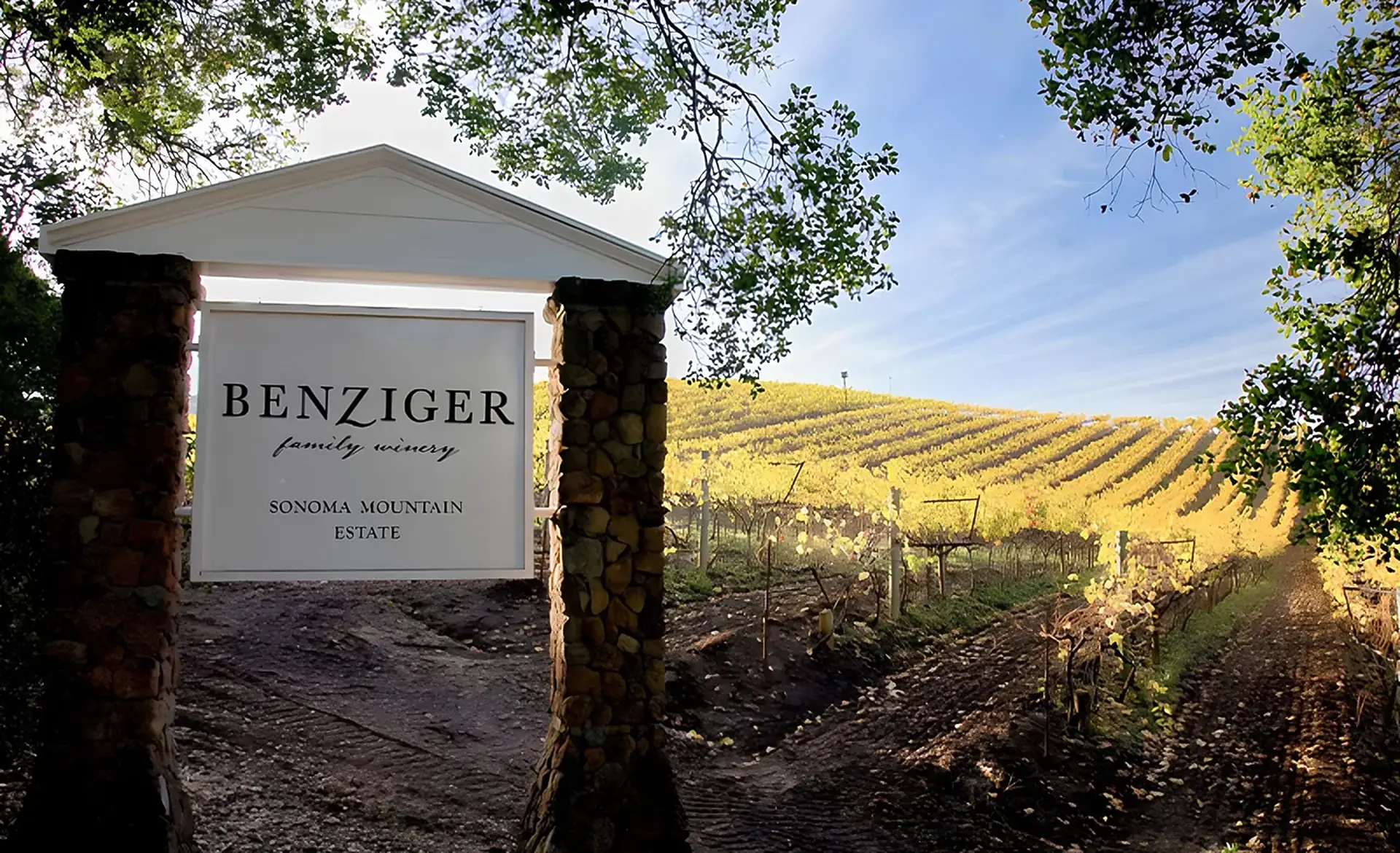 Stone-pillar sign reading Benziger family winery, Sonoma Mountain Estate, with a yellow-leaved hillside vineyard behind
