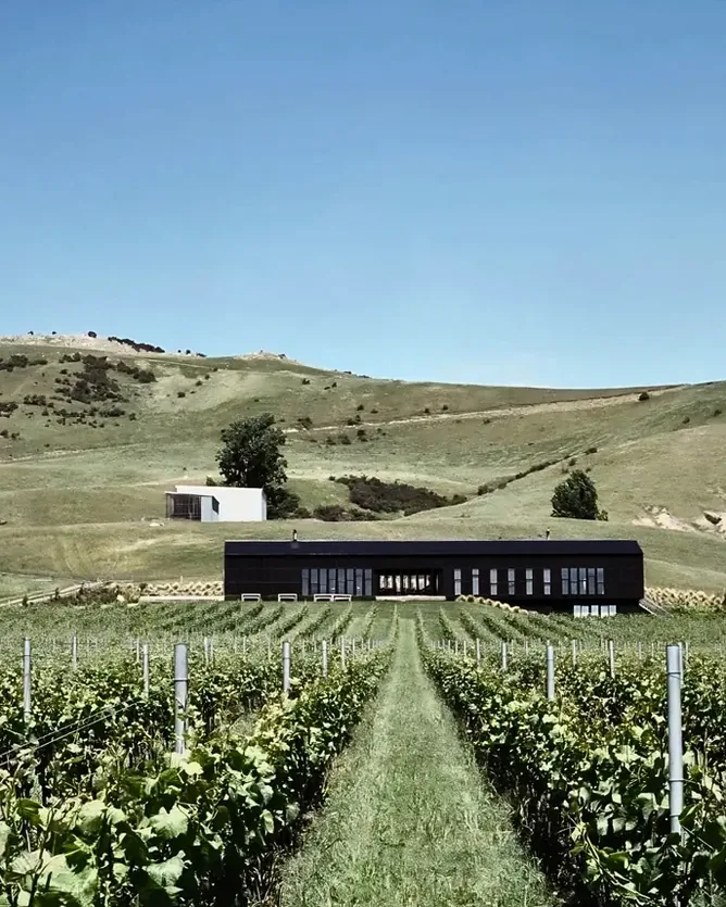 Black Estate &mdash; verified Wine producer