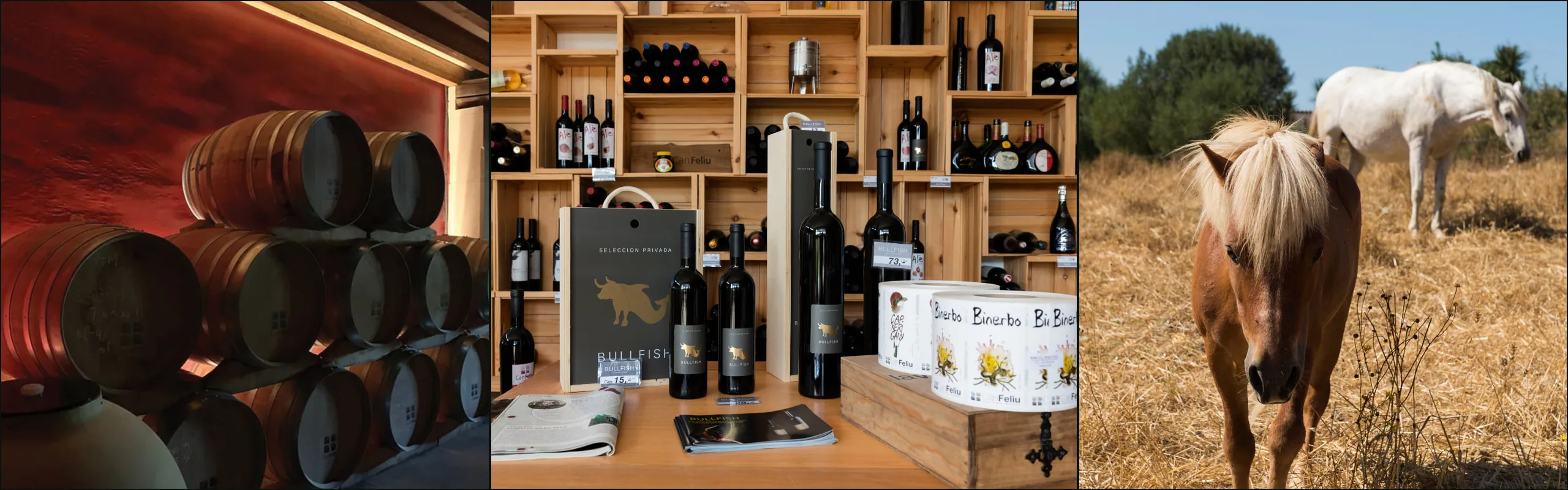 Three photographs: barrels against a red wall, shelves of bottles in the Can Feliu shop, a chestnut pony and a white horse in a dry field
