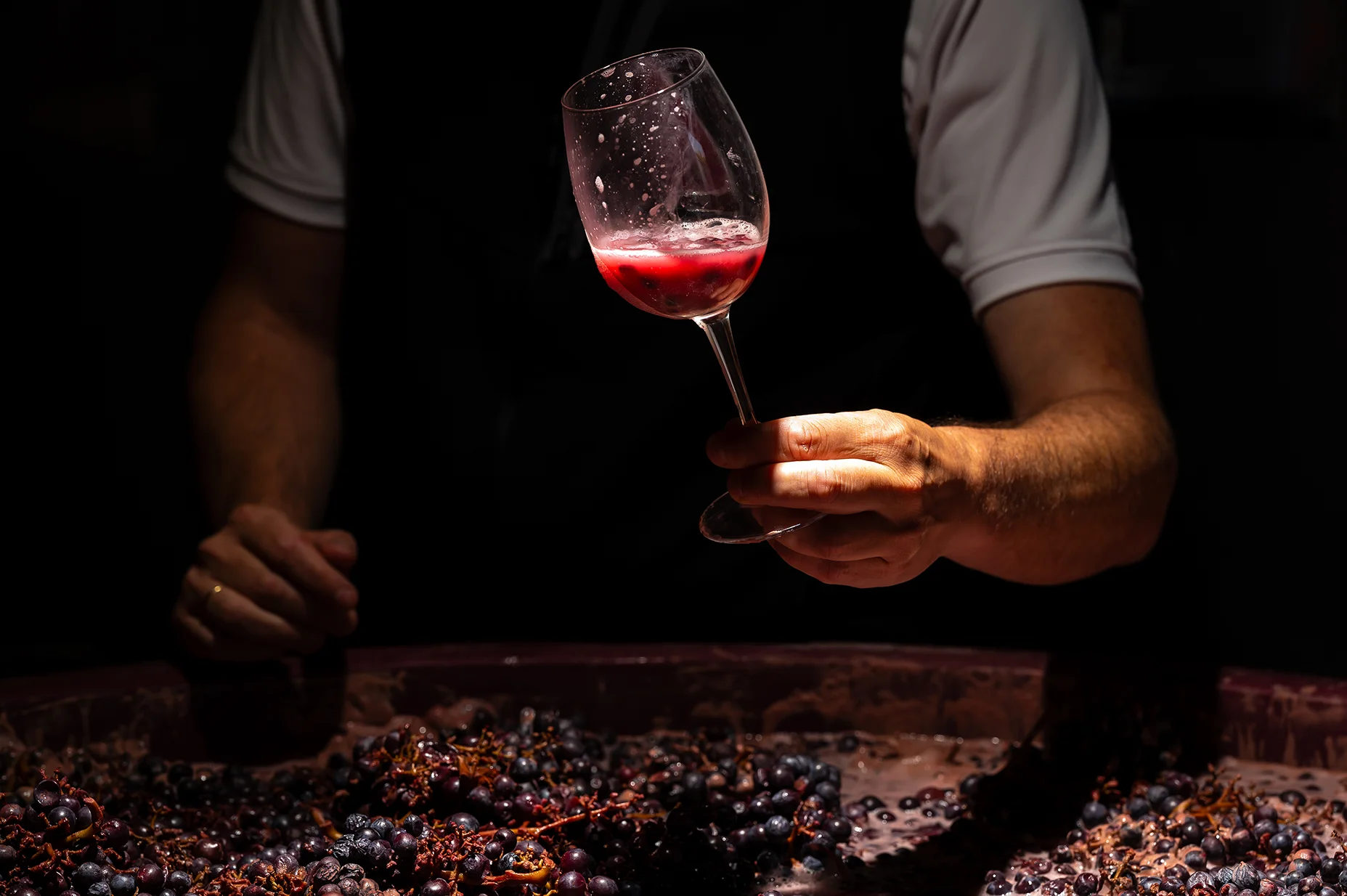 Hand holding a glass of fermenting red above a vat of crushed black grapes, against a dark background