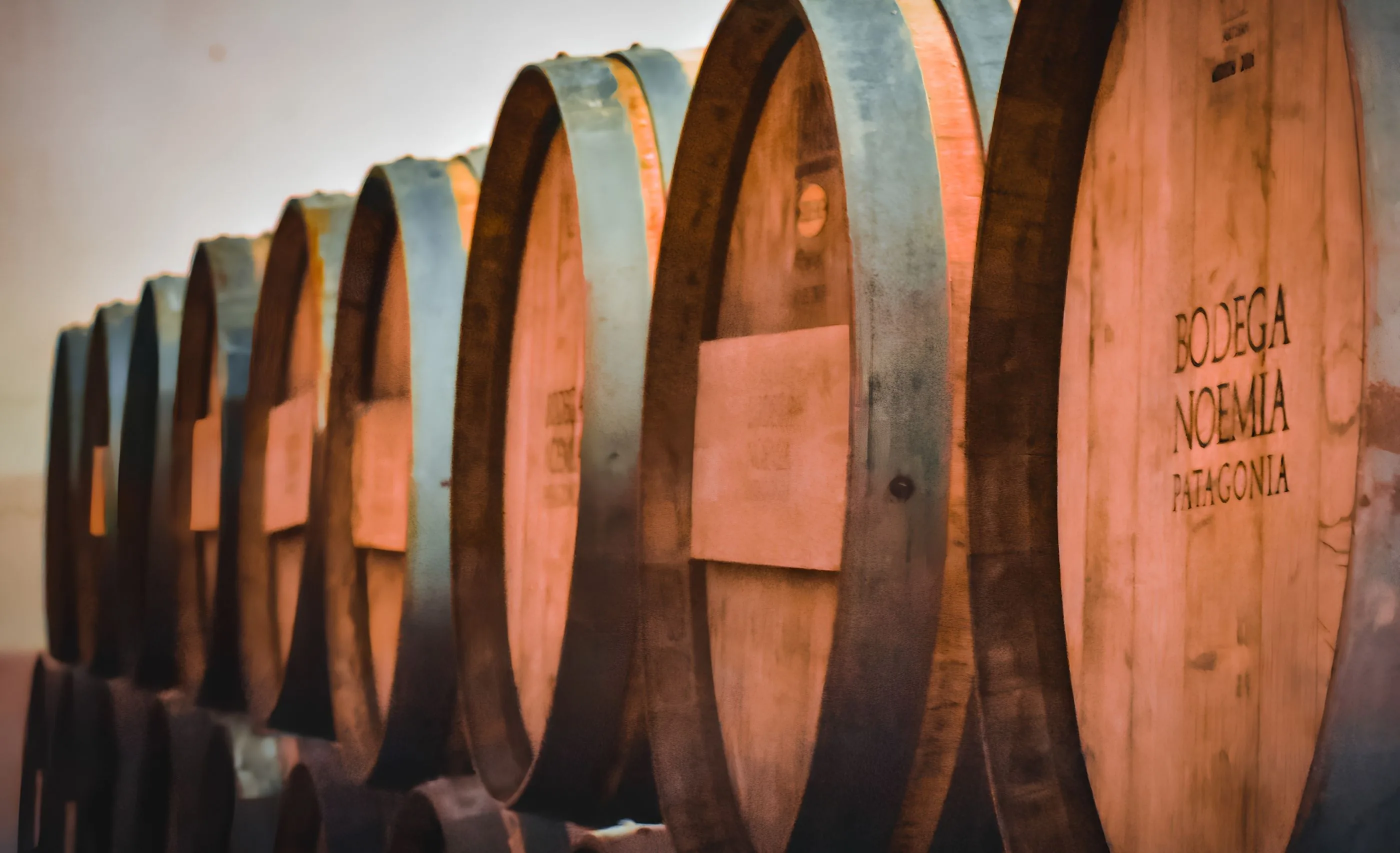 Oak barrels stacked on their sides in warm light, the nearest barrel head branded Bodega Noemía Patagonia