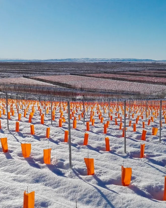 Bodega Otronia &mdash; verified Wine producer
