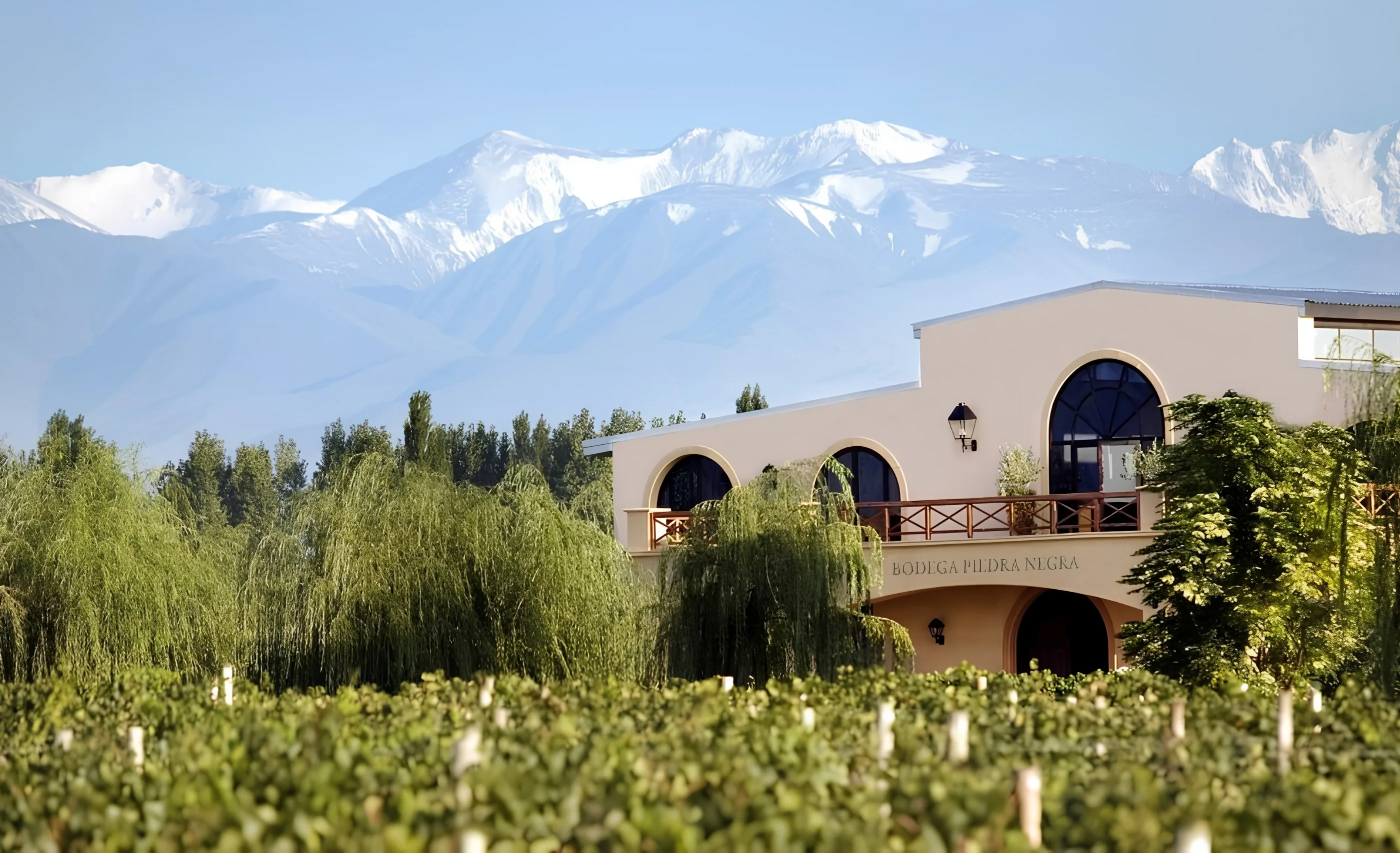 Bodega Piedra Negra's arched, cream-coloured building behind weeping willows and leafy vines, with snow-capped peaks beyond