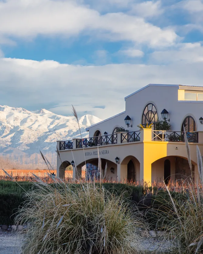 Bodega Piedra Negra &mdash; verified Wine producer