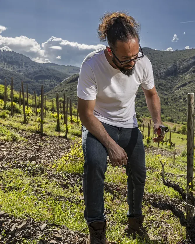 Bodegas Frontonio &mdash; verified Wine producer