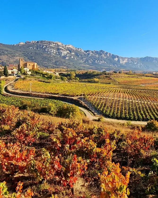 Bodegas Lanzaga (Las Beatas)