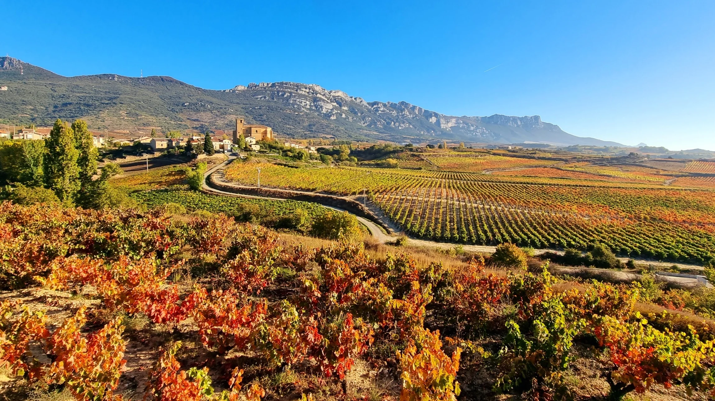 Bodegas Lanzaga (Las Beatas)