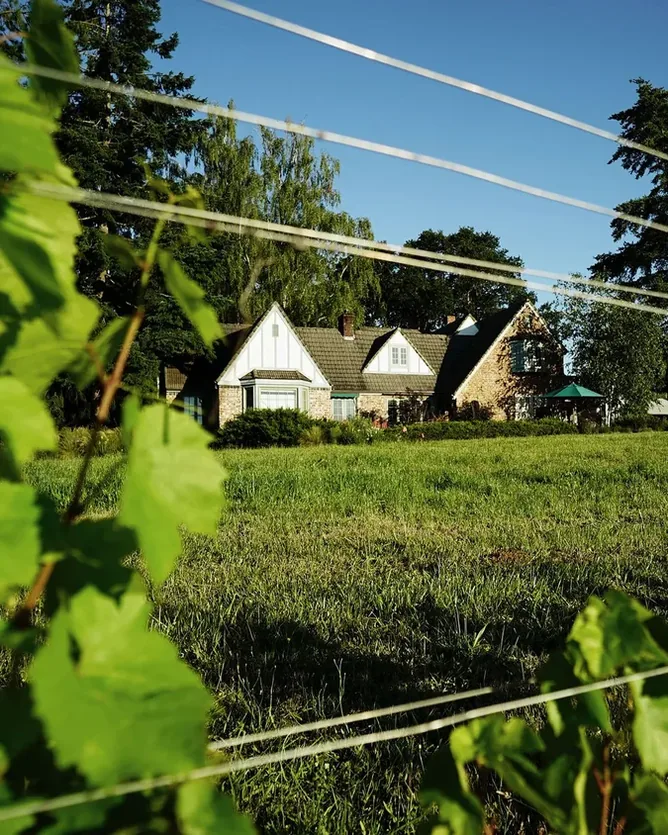Brick House Vineyards &mdash; verified Wine producer