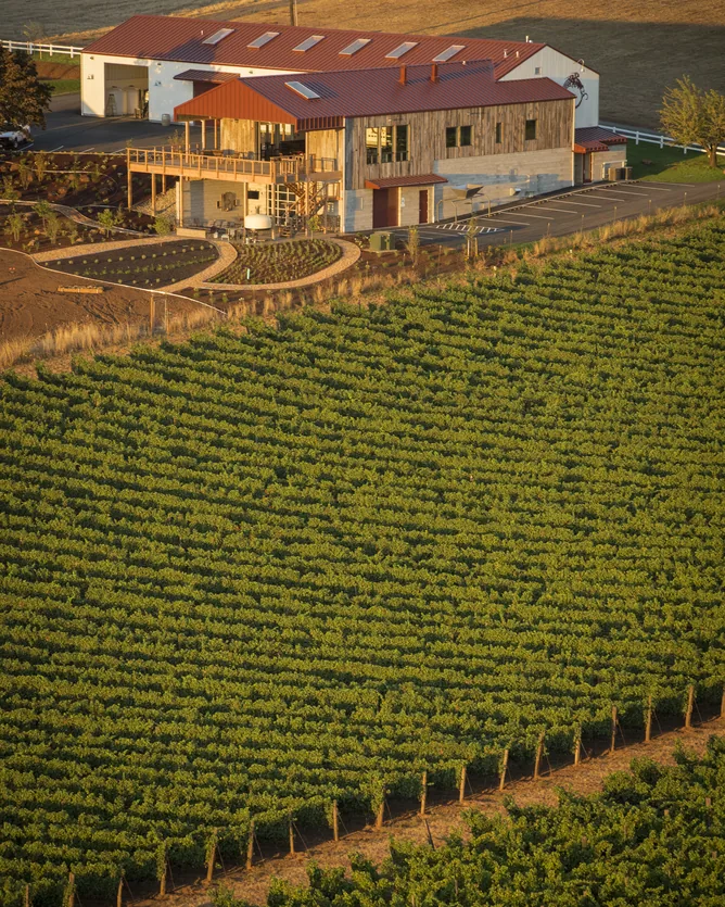 Brooks Wine &mdash; verified Wine producer
