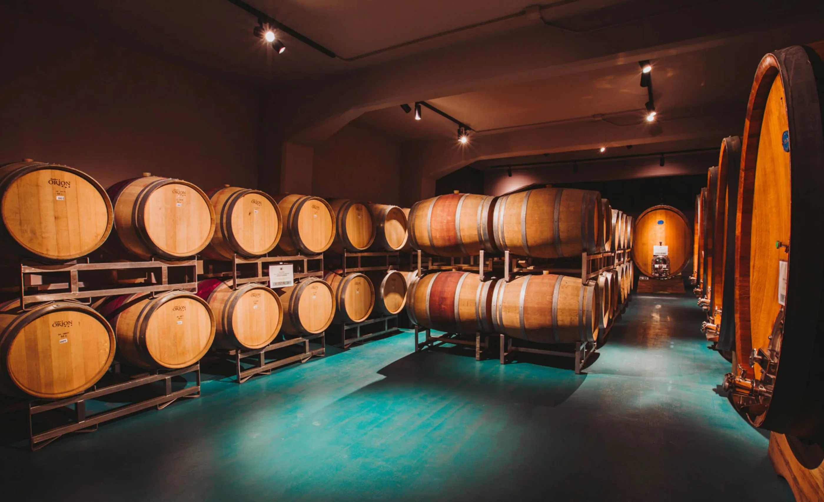 Dim cellar with oak barrels racked in rows, large oval wooden casks on the right and a teal floor under spotlights