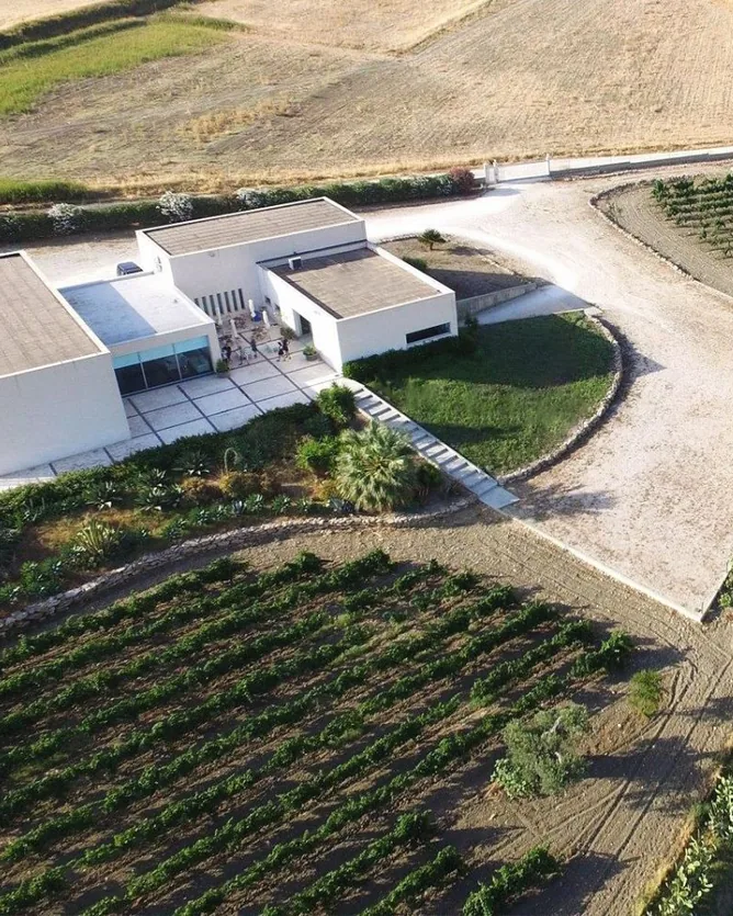 Cantine Barbera &mdash; verified Wine producer