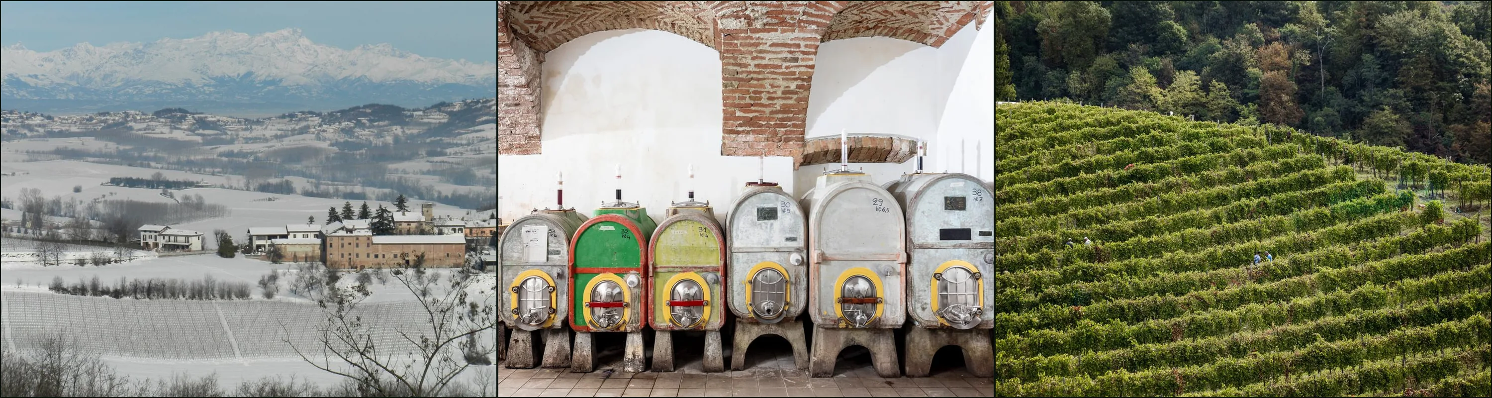 Three photographs at Cascina Iuli: snowy hills and a village below the Alps, cement vats in a brick-vaulted cellar, vine rows on a hillside