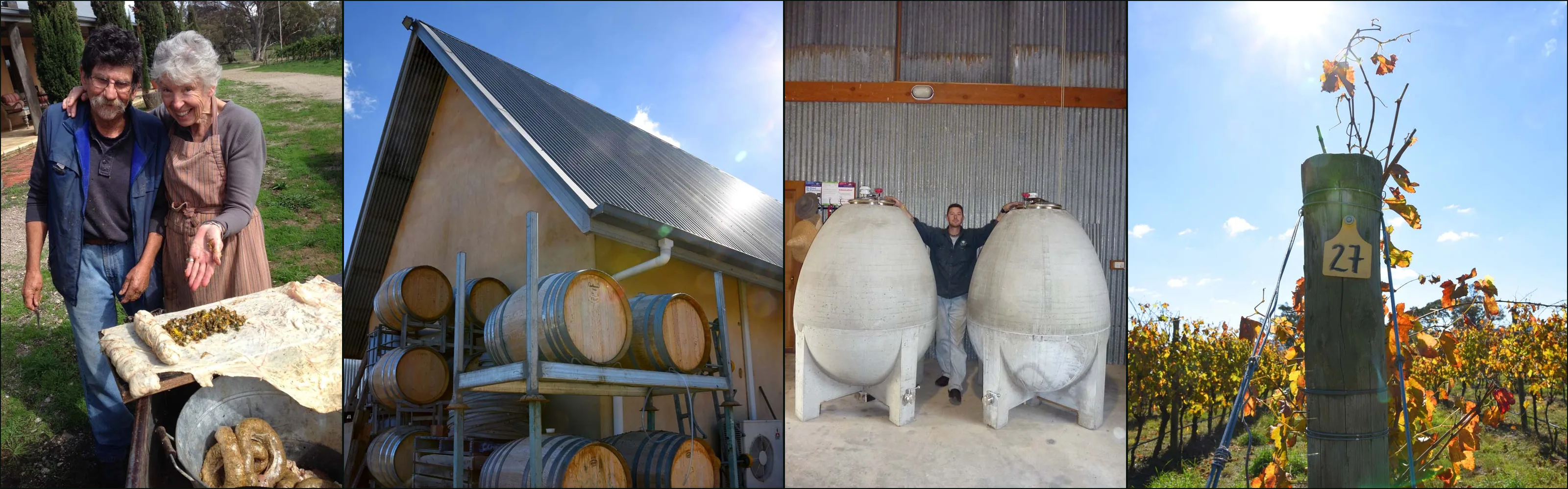 Four photographs at Castagna: two people at a cart with cow horns, barrels racked outside the winery, a man between two concrete eggs, vine post 27