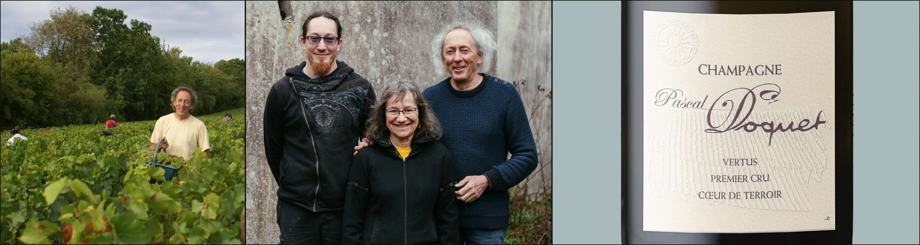 Three photographs: a man with a basket of white grapes in the vines, three people before a wall, a Pascal Doquet Vertus Premier Cru label