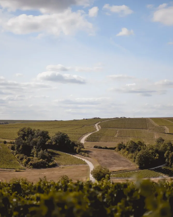 Château de Béru &mdash; verified Wine producer