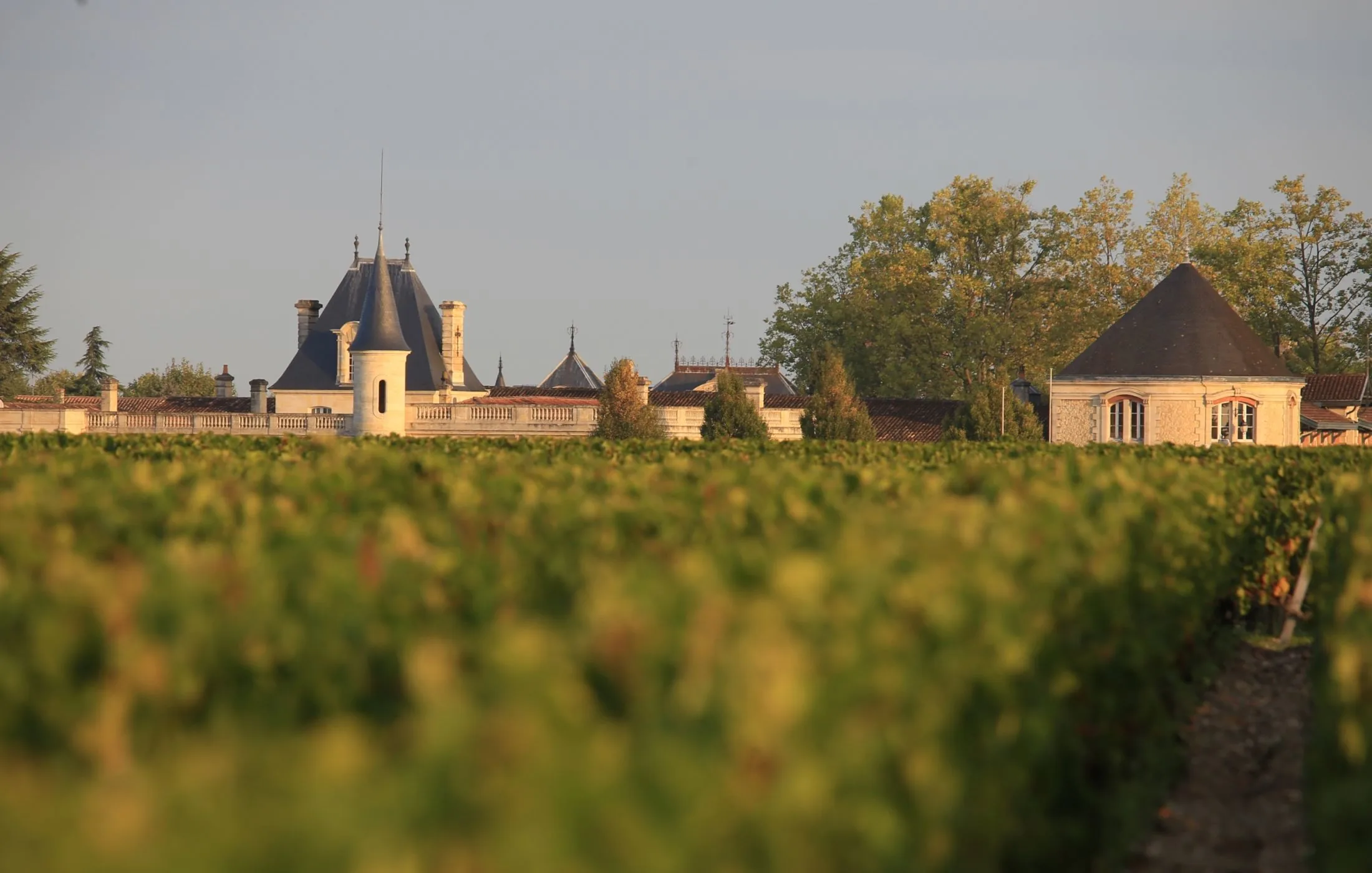 Ch&acirc;teau Durfort-Vivens