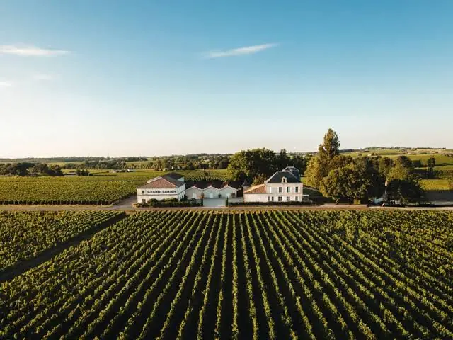Ch&acirc;teau Grand Corbin-Despagne