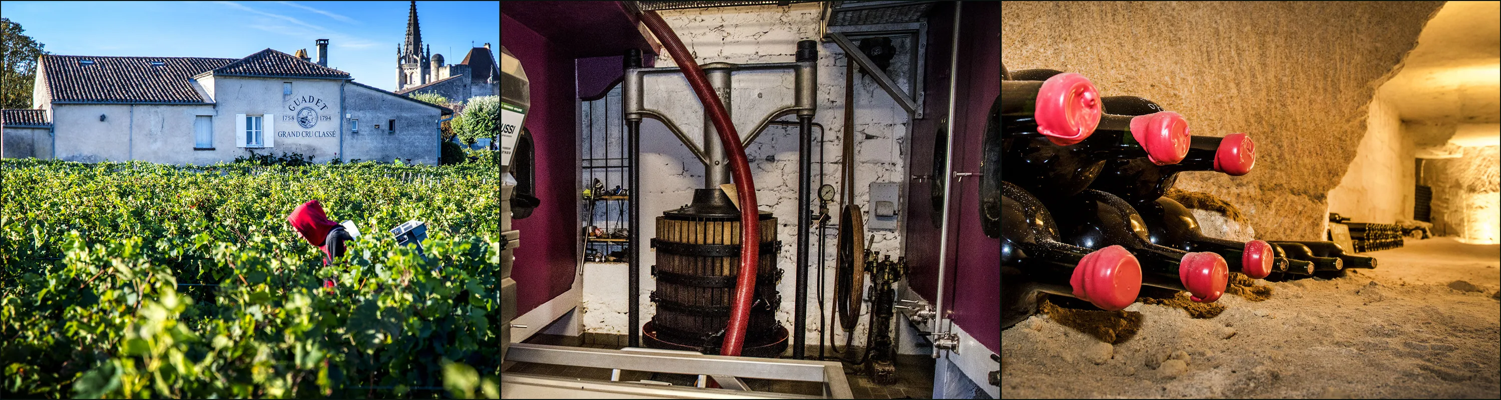 Three photographs: a picker in vines before the Guadet house, an old basket press in the vat room, red-wax-capped bottles in a limestone cellar