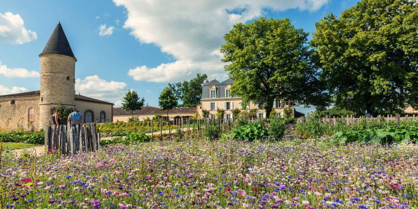 Château Guiraud