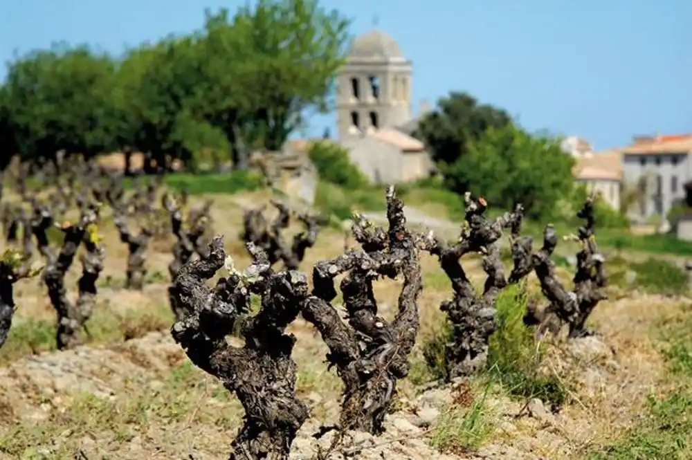 Château Maris