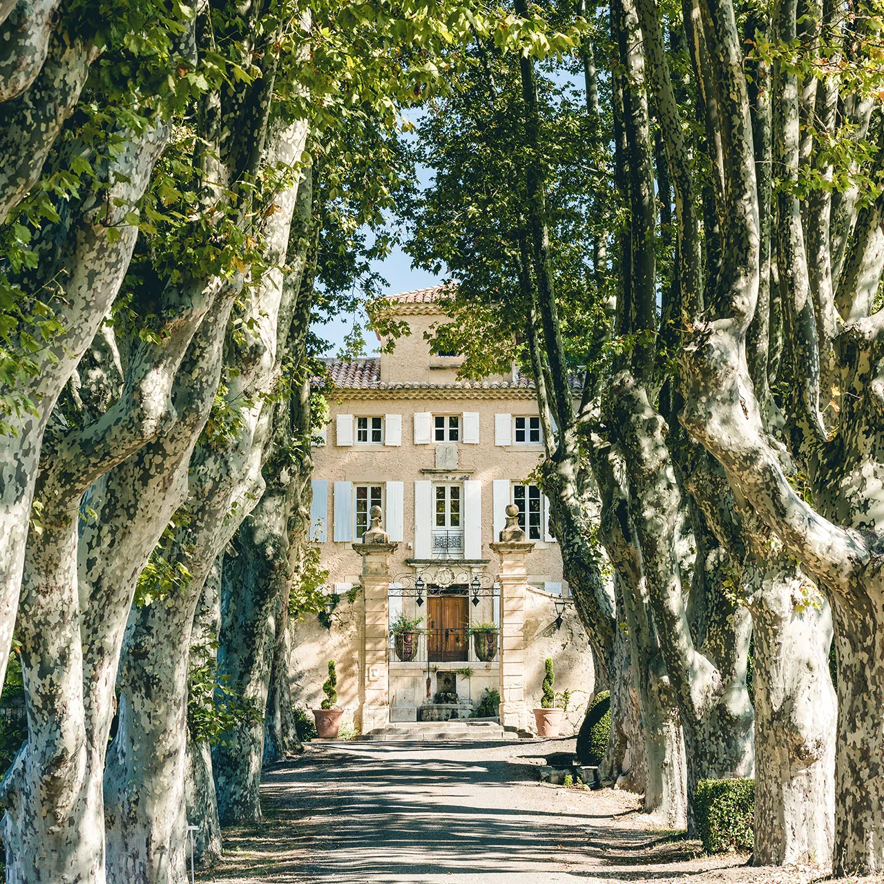Ch&acirc;teau Pesqui&eacute;