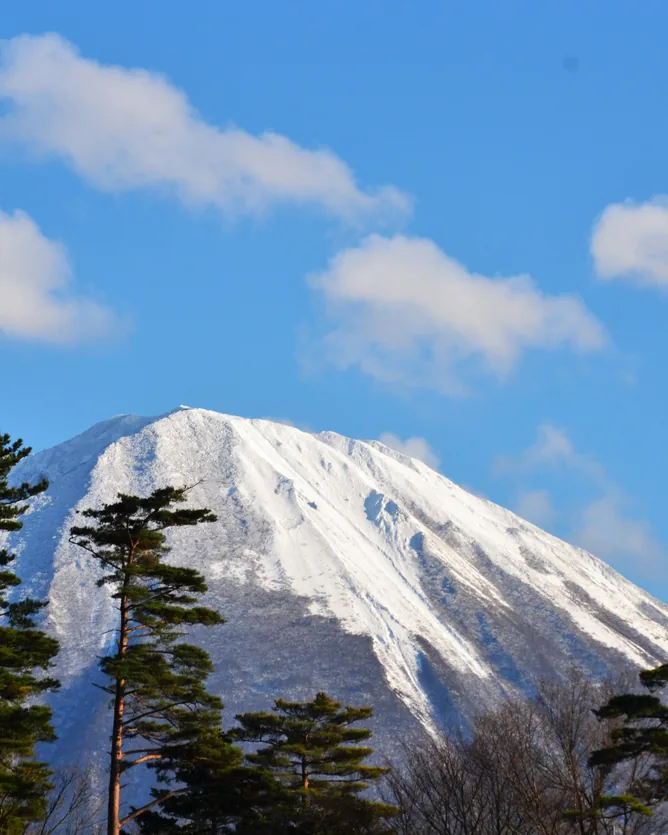 Chiyomusubi &mdash; verified Organic Sake producer