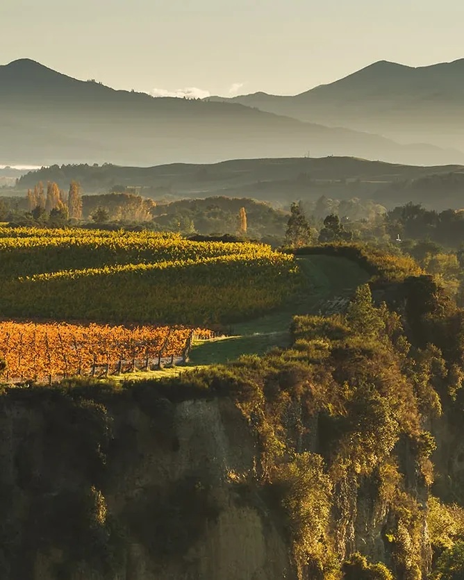Churton Wines &mdash; verified Wine producer