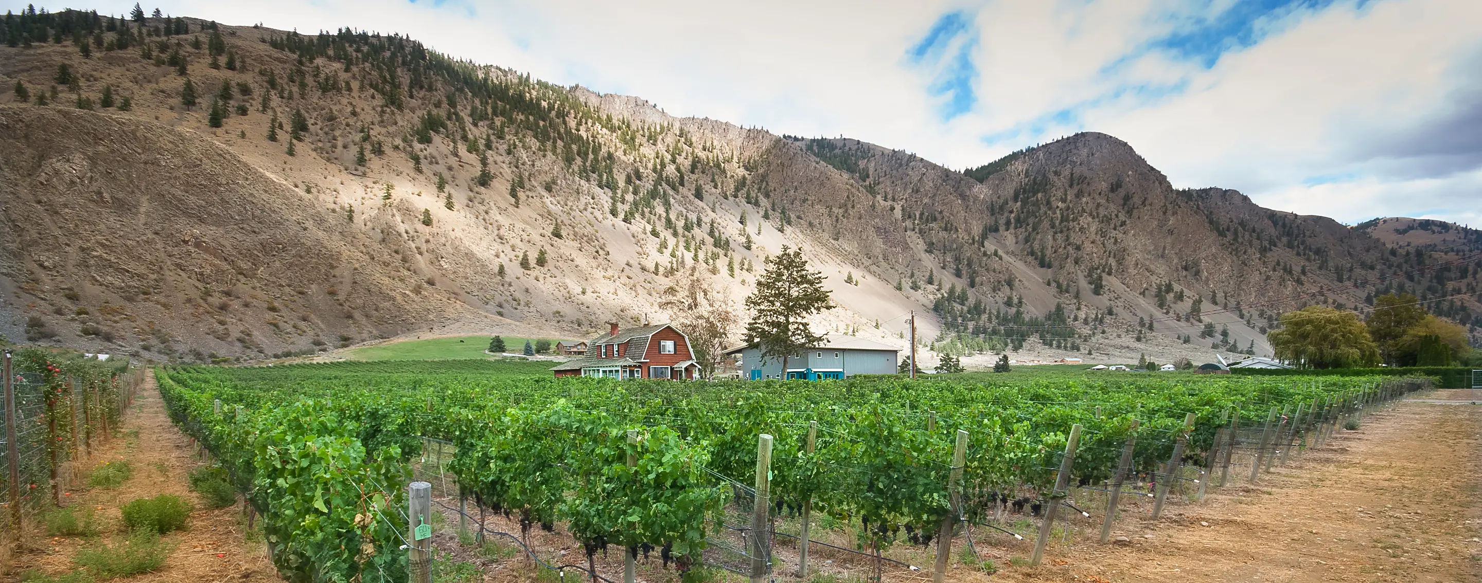 Green vine rows, a red-roofed house and a blue-roofed winery below a dry mountainside dotted with conifers, at Clos du Soleil