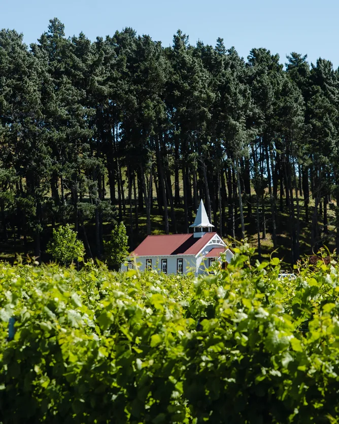 Clos Henri &mdash; verified Wine producer