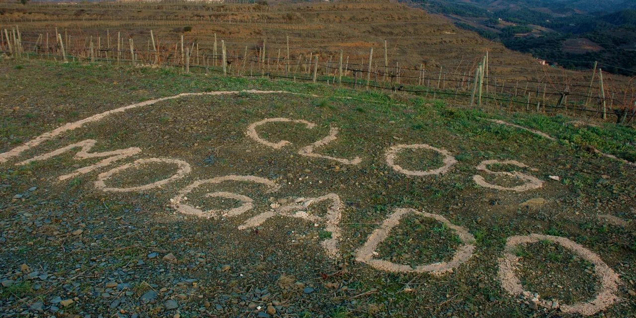 Clos Mogador