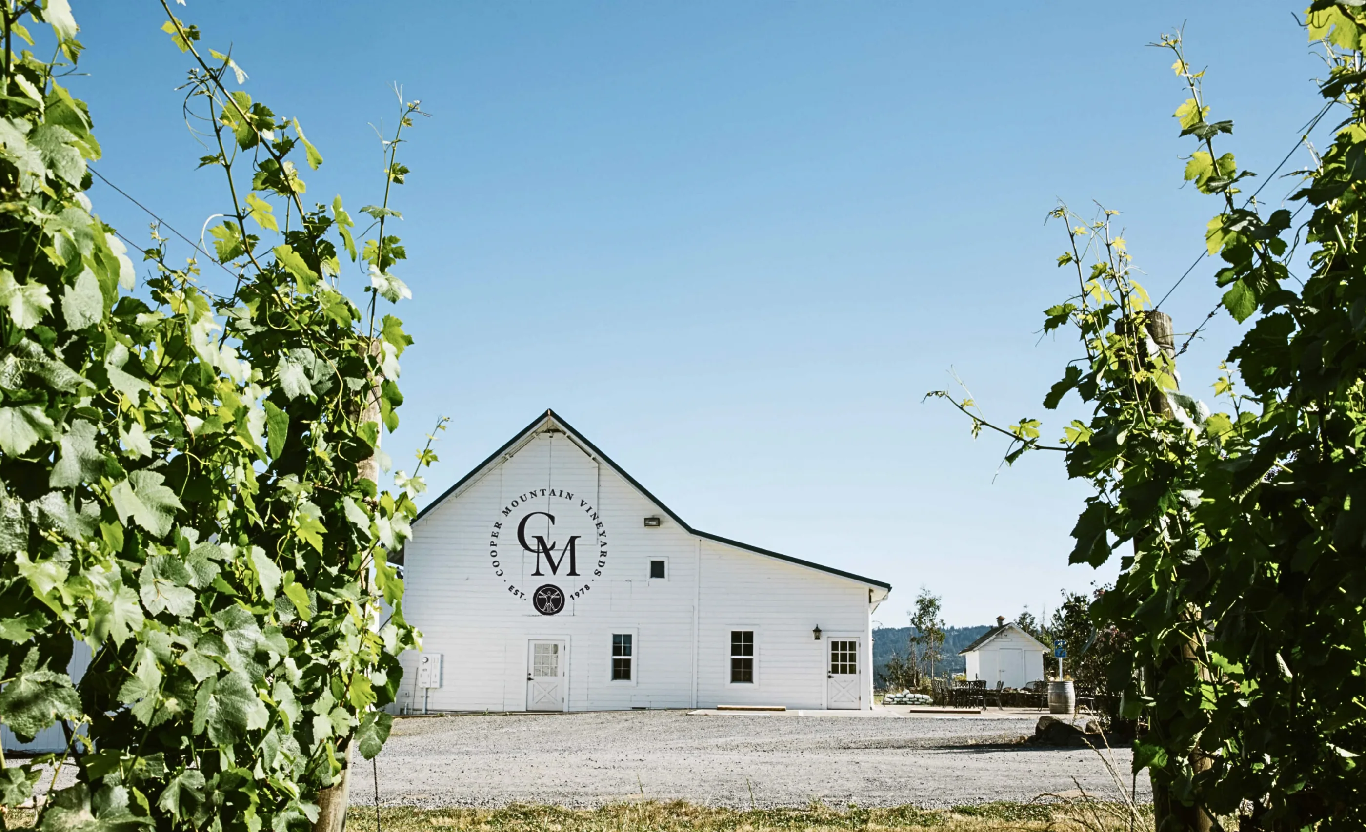 White barn marked with a Cooper Mountain Vineyards roundel, seen between two leafy vines under a clear blue sky