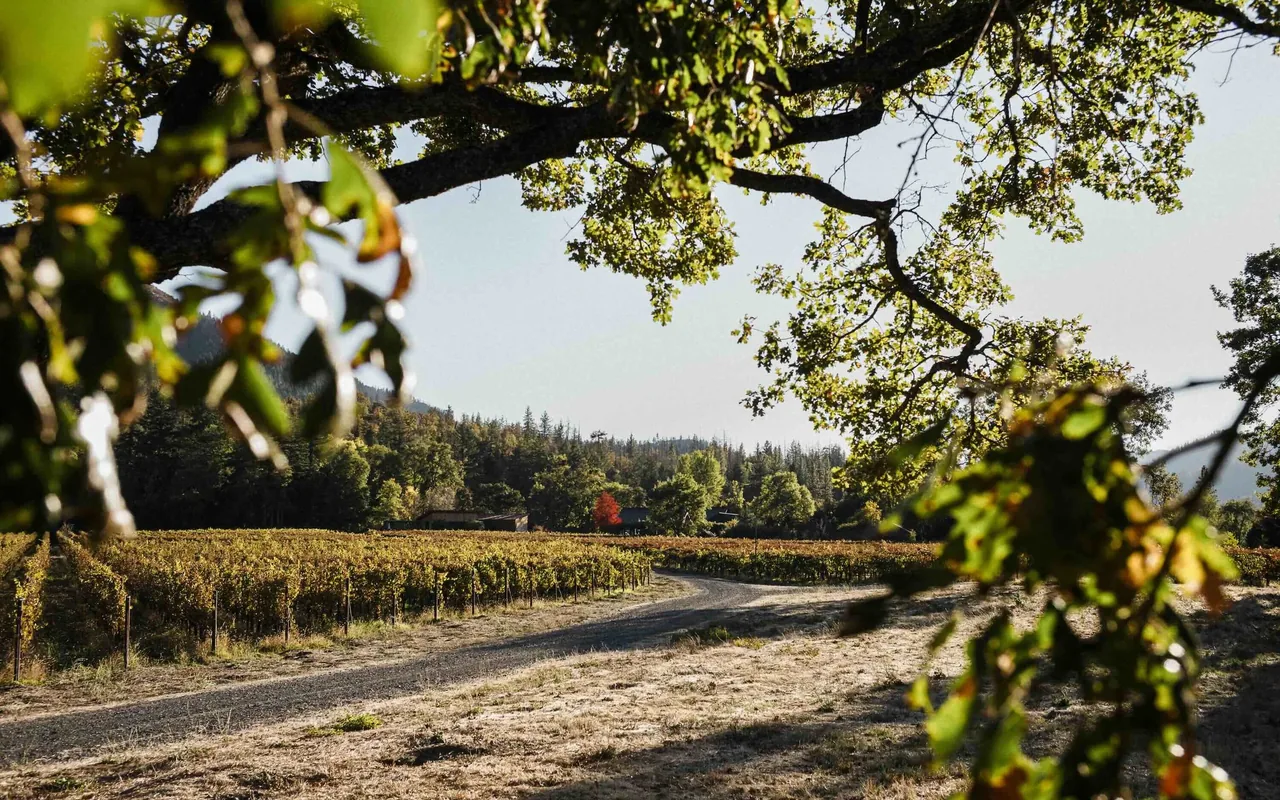 Cowhorn Vineyard & Garden