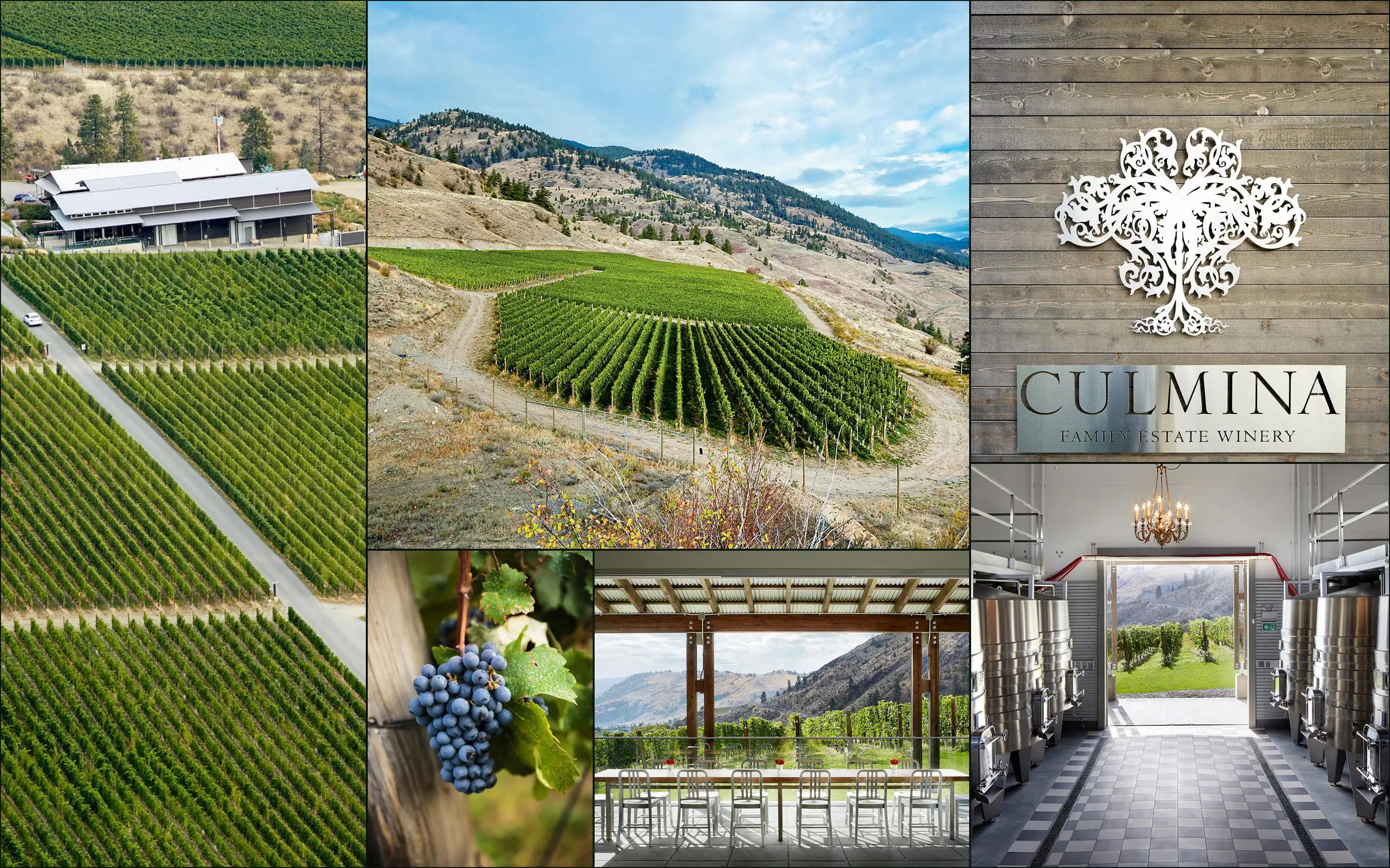 Six photographs: the winery above vine rows, a hillside vineyard, grapes on a post, a patio, the Culmina sign, steel tanks