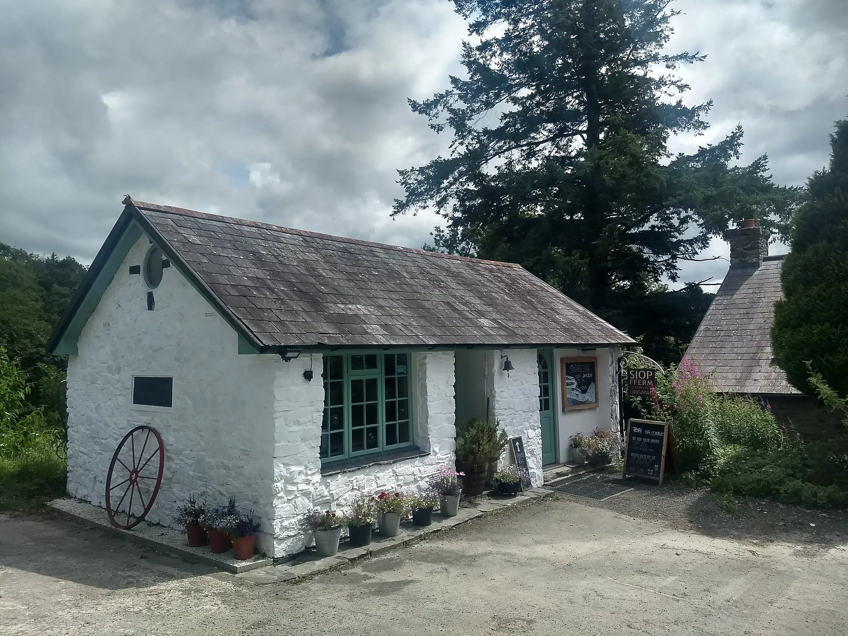 A whitewashed stone cottage with a slate roof, a red cart wheel and potted flowers, and a hanging sign reading Siop Fferm