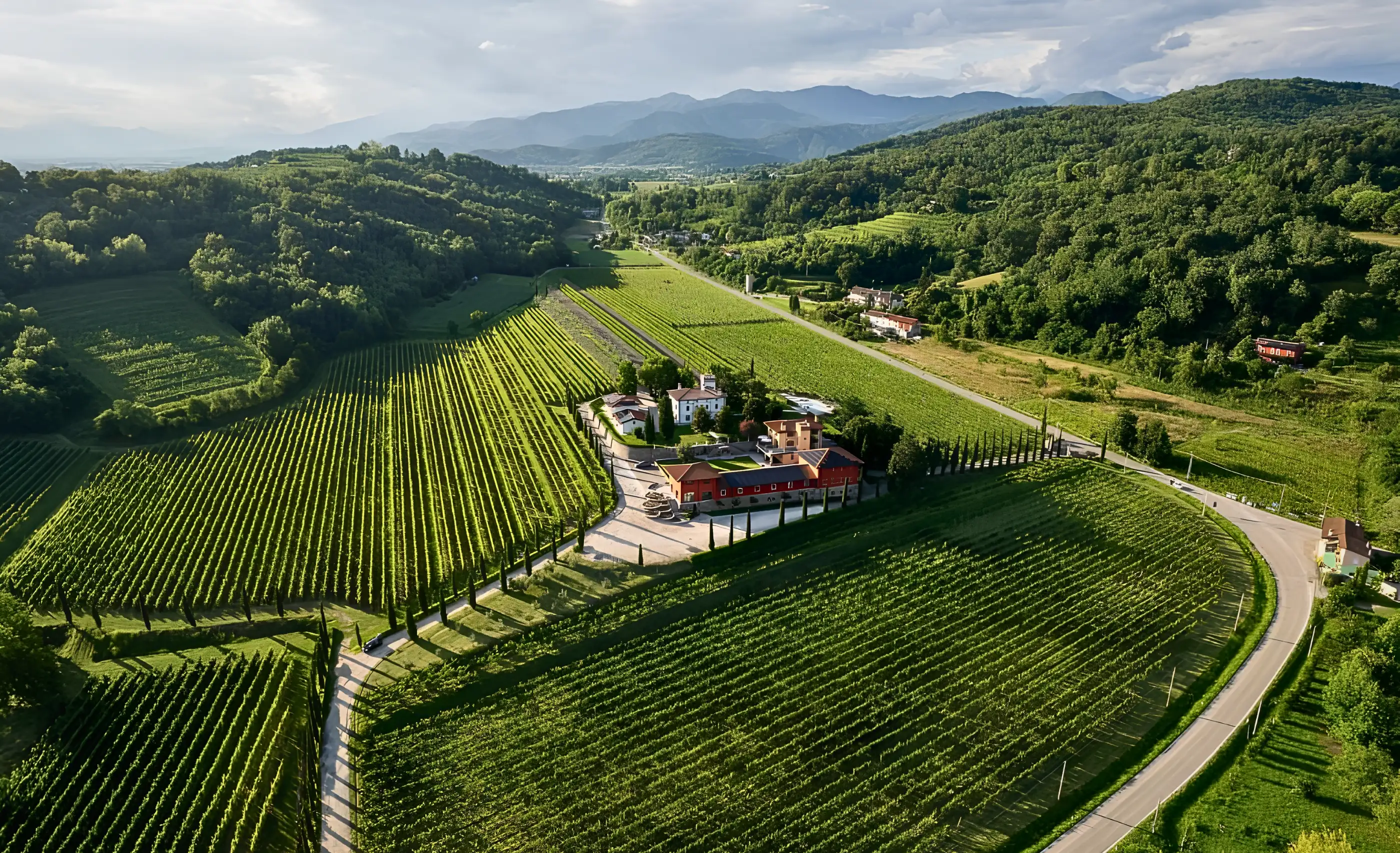 Aerial view of a villa and red-roofed buildings among vineyards beside a curving road, with wooded hills and mountains beyond