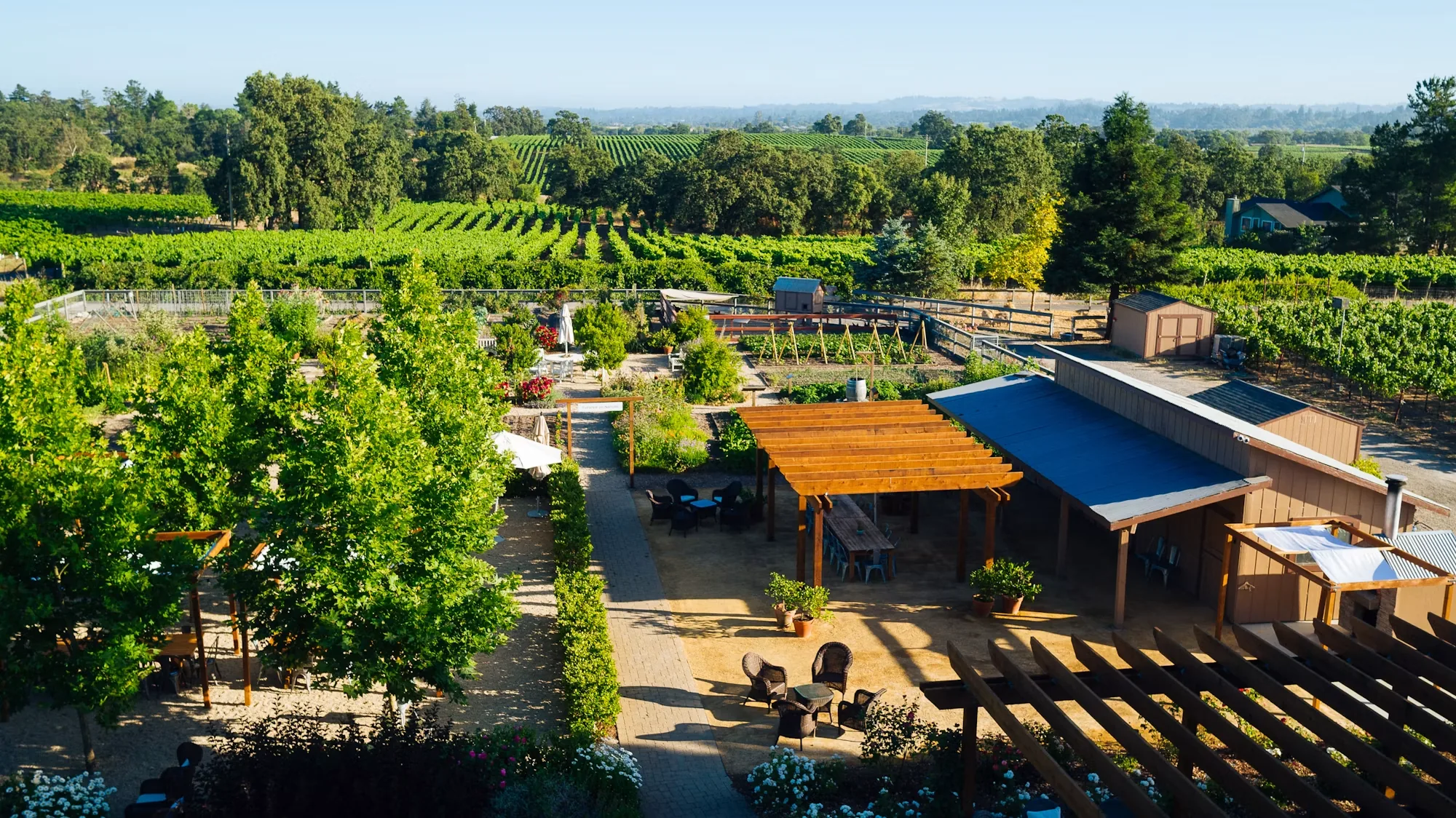 Aerial view of the winery courtyard at DeLoach Vineyards: a timber pergola, seating and garden beds, vineyards beyond