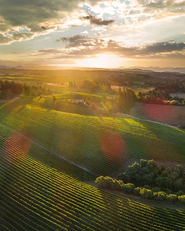 Dog Point Vineyard &mdash; verified Wine producer