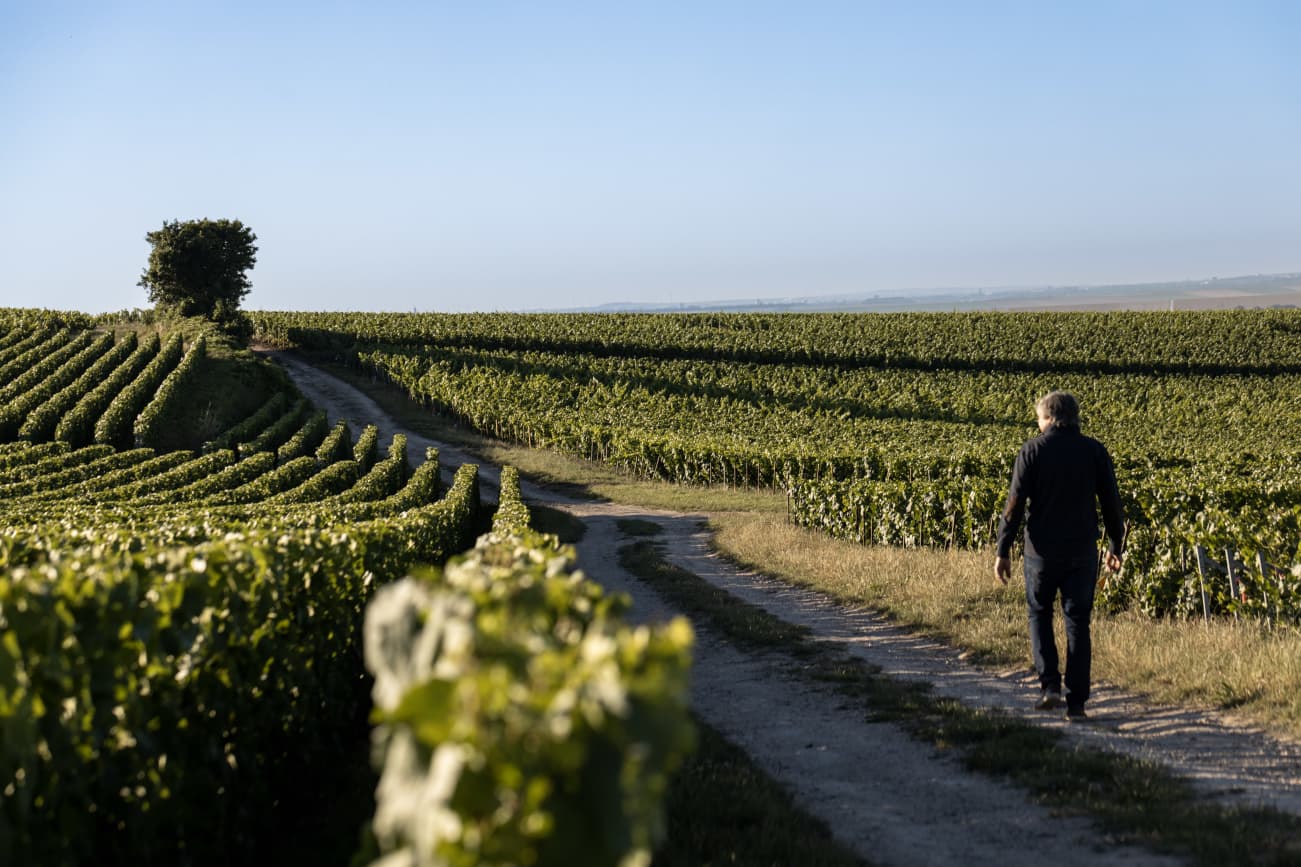 Domaine Arnaud Ente