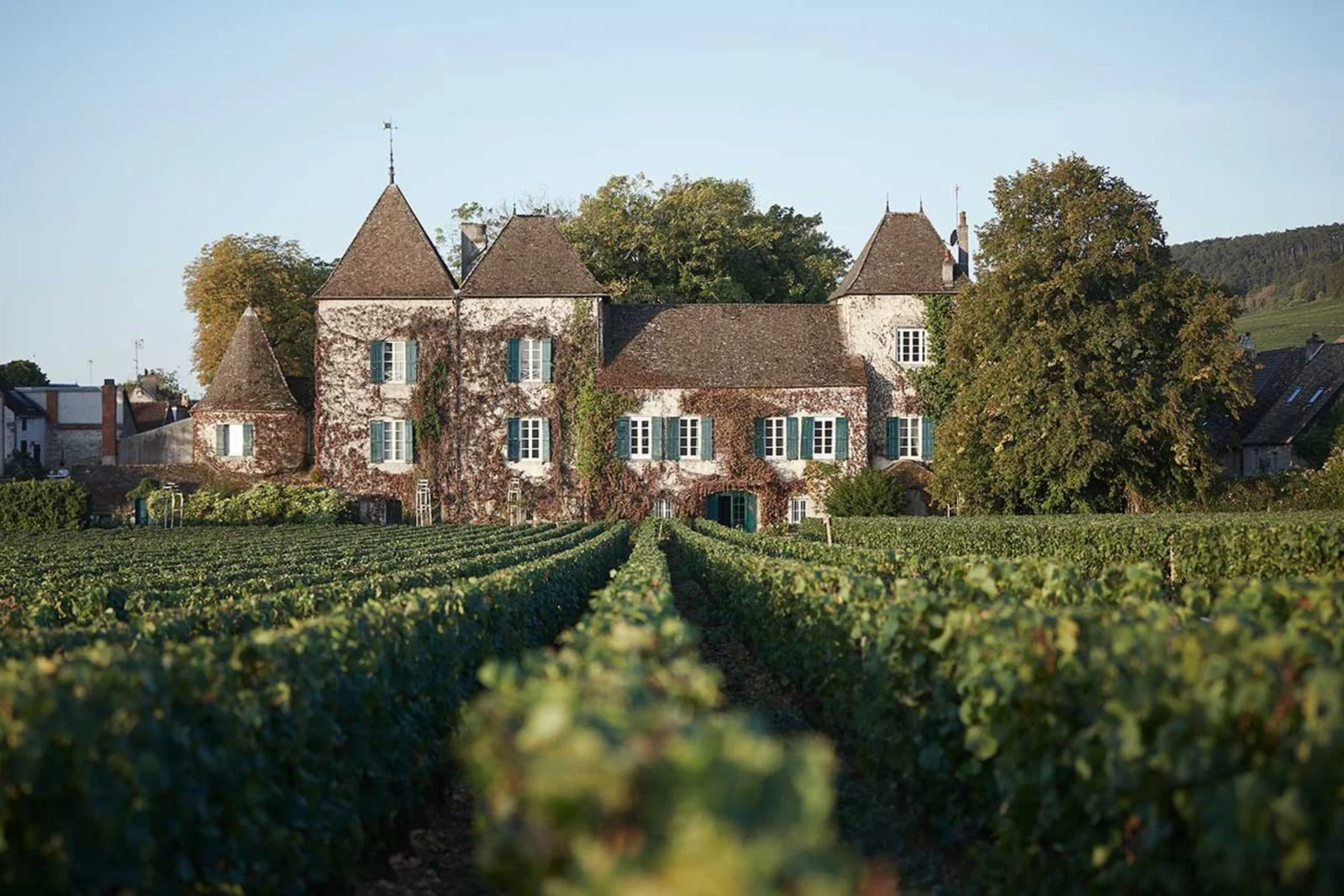 Domaine Arnaud Ente