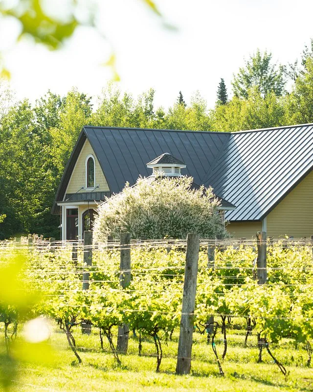 Domaine Bergeville &mdash; verified Wine producer