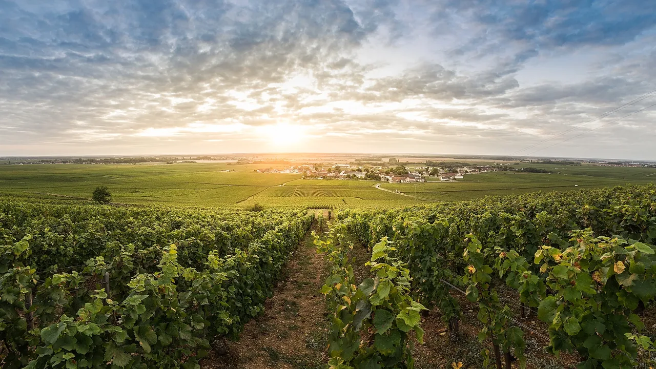 Domaine Cécile Tremblay