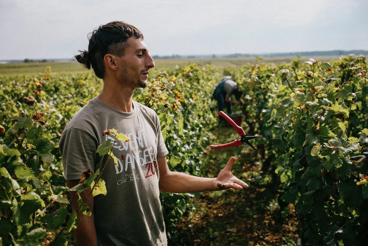Domaine Cécile Tremblay