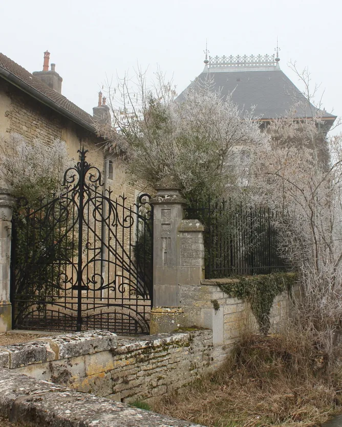 Domaine d'Auvenay &mdash; verified Wine producer