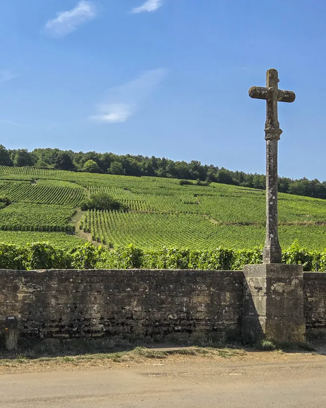 Domaine de la Romanée-Conti