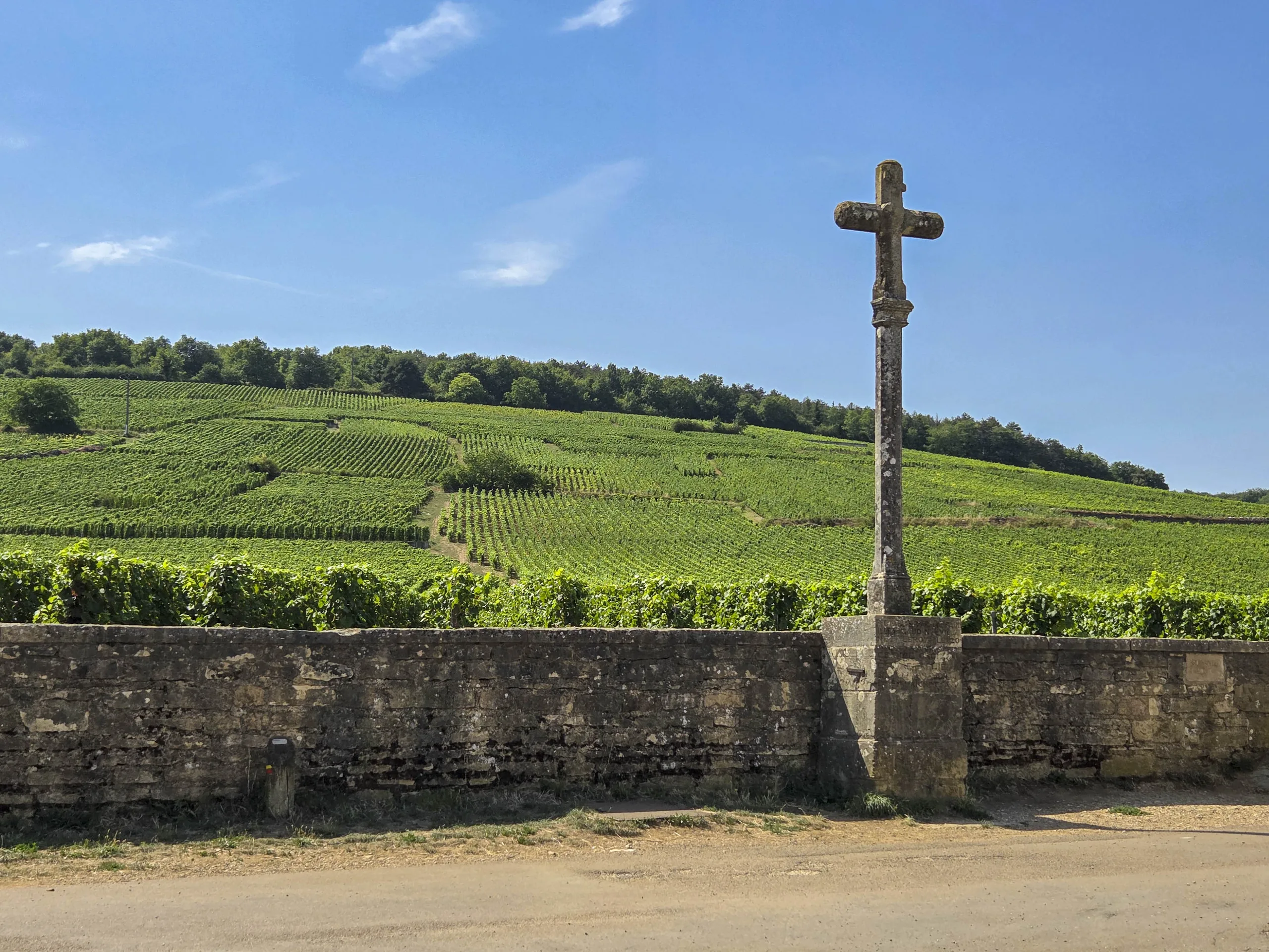 Domaine de la Roman&eacute;e-Conti